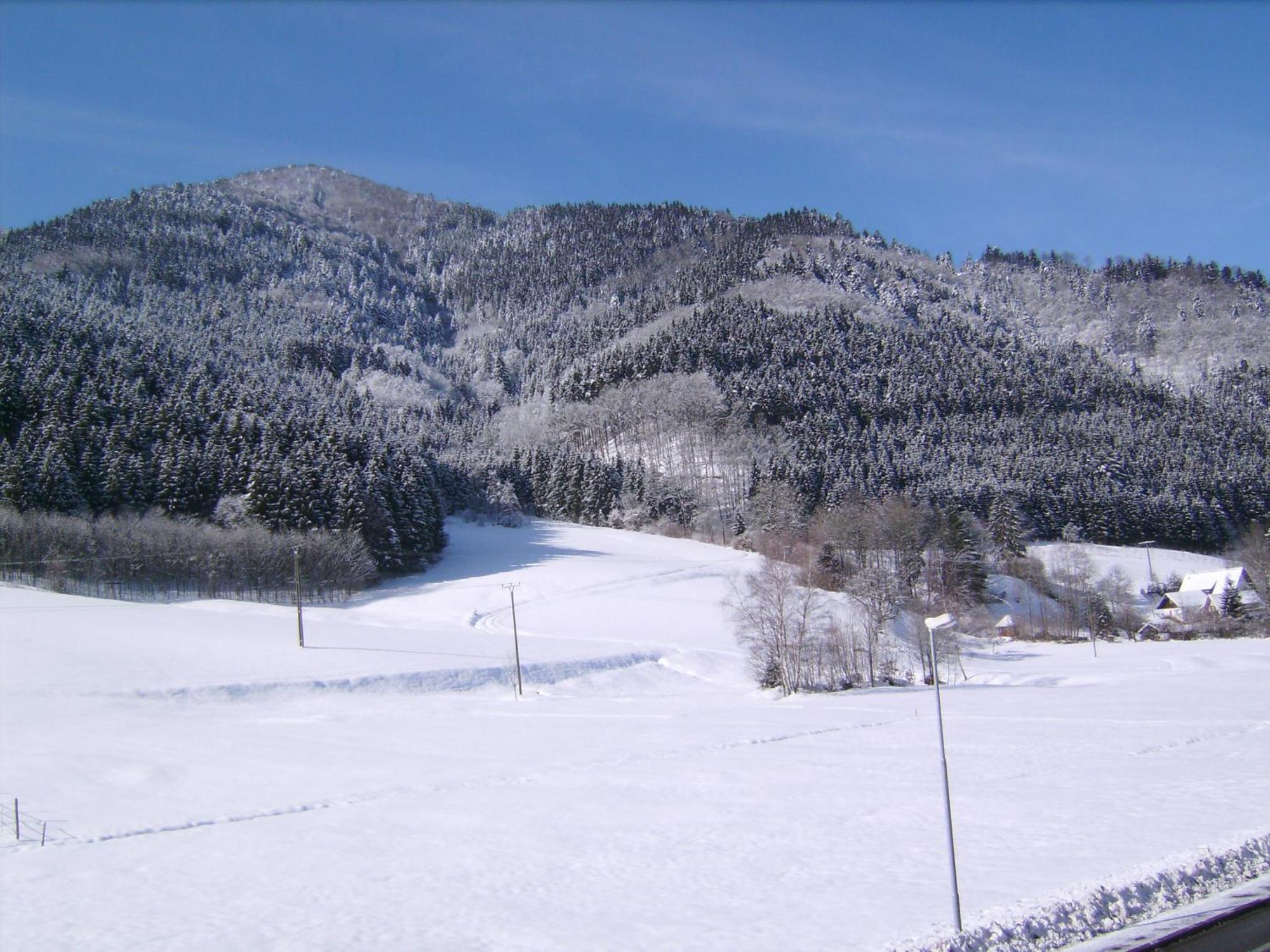 Gasthaus Zur Erle Simonswald Kültér fotó