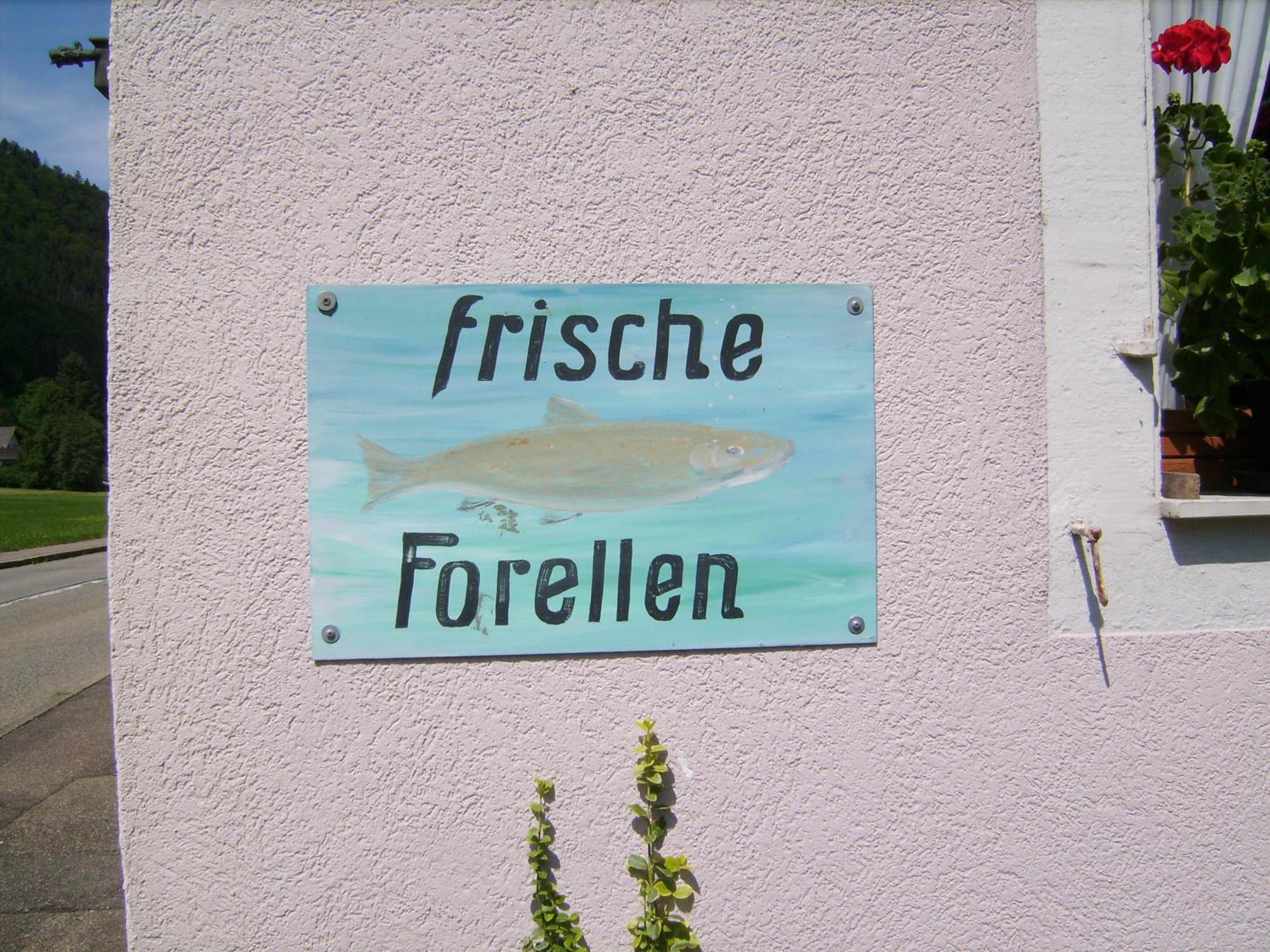 Gasthaus Zur Erle Simonswald Kültér fotó
